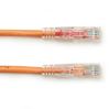 Black Box GigaTrue 3 CAT6 100ft networking cable Orange 1196.9" (30.4 m) U/UTP (UTP)2