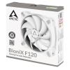 ARCTIC BioniX F120 Computer case Fan 4.72" (12 cm) Gray, White5