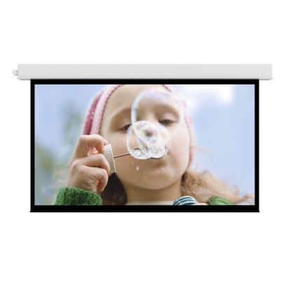 Da-Lite Advantage projection screen 159" 16:91