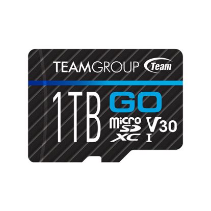 Team Group GO 1 TB MicroSDXC Class 31