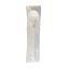 Mediumweight Polypropylene Cutlery, Teaspoon, White, 1,000/Carton1