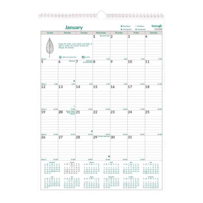 EcoLogix Monthly Wall Calendar, EcoLogix Artwork, 12 x 17, White/Green Sheets, 12-Month (Jan to Dec): 20251