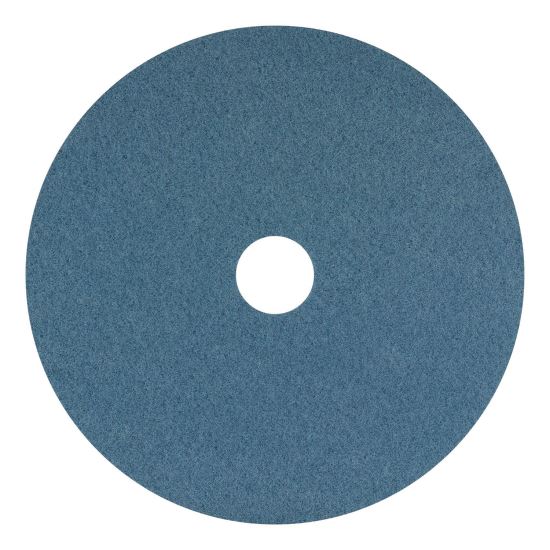 Blue Cleaner Pad, 20" Diameter, Blue, 5/Carton1