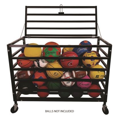 All Pro Lockable Ball Locker, Metal, 220 lb Capacity, 24 x 47 x 37, Black1