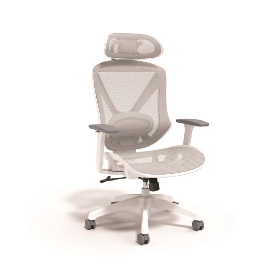 FlexFit Dexley Mesh Task Chair, Supports Up to 275 lb, 16.61" to 20.31” Seat Height, Gray Seat, Gray Back, White Base1