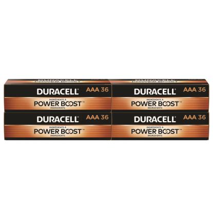 Power Boost CopperTop Alkaline AAA Batteries, 36/Pack, 4 Packs/Carton1