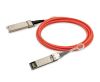 Finisar FCCG125SD1C01 InfiniBand/fibre optic cable 39.4" (1 m) SFP+ AOC Orange1