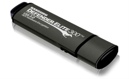 Kanguru Defender Elite 300 USB flash drive 256 GB USB Type-A 3.2 Gen 1 (3.1 Gen 1) Black1