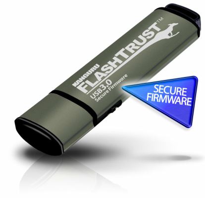 Kanguru FlashTrust USB flash drive 256 GB USB Type-A 3.2 Gen 1 (3.1 Gen 1) Green1