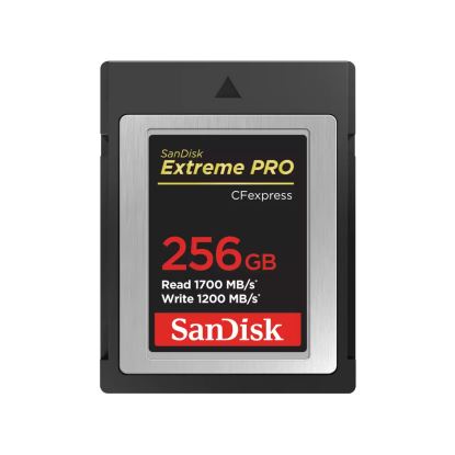 SanDisk SDCFE-256G-ANCNN memory card 256 GB CFexpress1