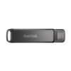 SanDisk SDIX70N-064G-AN6NN USB flash drive 64 GB 3.2 Gen 1 (3.1 Gen 1)3