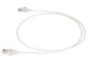 Legrand RDC607-09 networking cable White 82.7" (2.1 m) Cat6 U/UTP (UTP)1