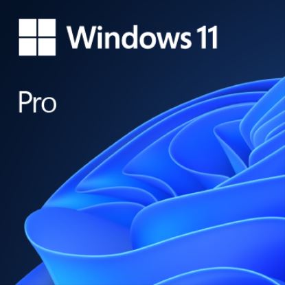 Microsoft Windows 11 Pro Full packaged product (FPP) 1 license(s)1