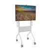 Chief LSCUW AV equipment stand White1