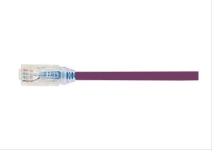 Panduit UTP28X2.5MVL networking cable Violet 98.4" (2.5 m) Cat6a U/UTP (UTP)1