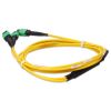 AddOn Networks ADD-16FMPO-2MPO2M9SMF InfiniBand/fibre optic cable 78.7" (2 m) MPO-16 2x MPO OFNR Yellow3