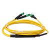 AddOn Networks ADD-16FMPO-2MPO2M9SMF InfiniBand/fibre optic cable 78.7" (2 m) MPO-16 2x MPO OFNR Yellow4