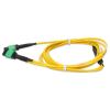 AddOn Networks ADD-16FMPO-2MPO2M9SMF InfiniBand/fibre optic cable 78.7" (2 m) MPO-16 2x MPO OFNR Yellow2