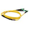 AddOn Networks ADD-16FMPO-2MPO2M9SMF InfiniBand/fibre optic cable 78.7" (2 m) MPO-16 2x MPO OFNR Yellow5