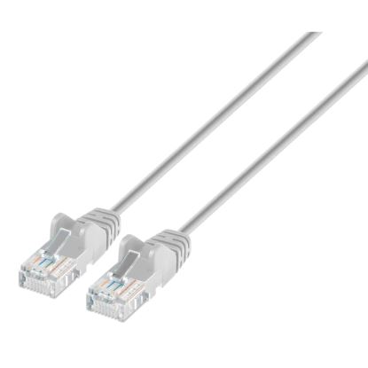 Intellinet IEC-C6A-GY-1-SLIM networking cable Gray 11.8" (0.3 m) Cat6a U/UTP (UTP)1