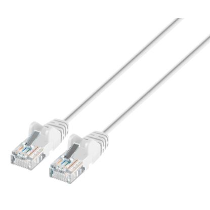 Intellinet IEC-C6A-WT-3-SLIM networking cable White 39.4" (1 m) Cat6a U/UTP (UTP)1