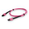 AddOn Networks ADD-MPOMPO-5M5OM4P-MA InfiniBand/fibre optic cable 196.9" (5 m) MPO LOMM Magenta1