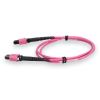 AddOn Networks ADD-MPOMPO-5M5OM4P-MA InfiniBand/fibre optic cable 196.9" (5 m) MPO LOMM Magenta2