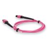 AddOn Networks ADD-MPOMPO-5M5OM4P-MA InfiniBand/fibre optic cable 196.9" (5 m) MPO LOMM Magenta3