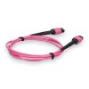 AddOn Networks ADD-MPOMPO-5M5OM4P-MA InfiniBand/fibre optic cable 196.9" (5 m) MPO LOMM Magenta5