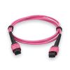 AddOn Networks ADD-MPOMPO-5M5OM4P-MA InfiniBand/fibre optic cable 196.9" (5 m) MPO LOMM Magenta8