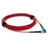 AddOn Networks ADD-MPOMPO-3M5OM4P-RD InfiniBand/fibre optic cable 118.1" (3 m) MPO LOMM Red7