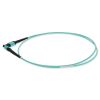 AddOn Networks ADD-MPOMPO-1-5M5OM4 InfiniBand/fibre optic cable 59.1" (1.5 m) MPO OFNR Aqua color2