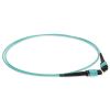 AddOn Networks ADD-MPOMPO-1-5M5OM4 InfiniBand/fibre optic cable 59.1" (1.5 m) MPO OFNR Aqua color7