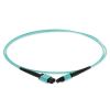 AddOn Networks ADD-MPOMPO-1-5M5OM4 InfiniBand/fibre optic cable 59.1" (1.5 m) MPO OFNR Aqua color8