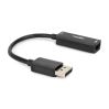 Rocstor Y10A296-B1 video cable adapter DisplayPort HDMI Black4