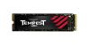 Mushkin Tempest 256 GB M.2 PCI Express 3.0 NVMe 3D NAND1