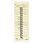 Time Cards for Acroprint, Amano and Lathem Time Clocks, One Side, 3.38" x 9", 200/Pack1