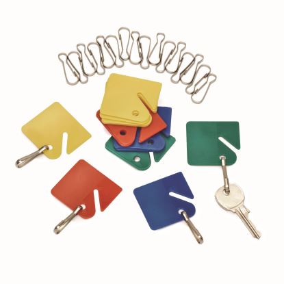 Plastic Identification Key Tags, Plastic, Assorted Colors, 20/Pack1