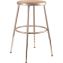 6200 Series Height Adjustable Heavy Duty Steel Stool, Backless, Supports 500lb, 19" to 27" Seat Height, Brown Seat, Gray Base1