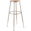 6204 Series Height Adjustable Heavy Duty Steel Stool, Backless, Supports 500 lb, 31" to 39" Seat Height, Brown Seat/Gray Base1