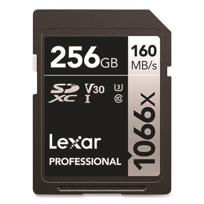 Professional SILVER Series SDXC Memory Card, UHS-I V30 U1 Class 10, 256 GB1