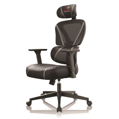 Norn Ergonomic Chair, Supports Up to 275 lb, 18.11" to 22.04" Seat Height, Black/Gray Mesh Seat/Back, Black Base1