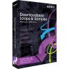 Sony Downloadable Loops & Samples Audio editor1