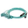 C2G 2m, MPO/6xLC InfiniBand/fibre optic cable 78.7" (2 m) Turquoise4