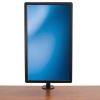 StarTech.com ARMPIVOTB monitor mount / stand 27" Desk Black6