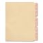 Standard Side-Flap Classification Folder Dividers, Letter Size, Manila, 100/Box1