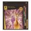 Colored Pencils, 4 mm, Assorted Lead and Barrel Colors, 72/Set1