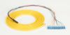 Black Box FOPT50S1-LC-12YL-3 InfiniBand/fibre optic cable 118.1" (3 m) 12x LC Multicolor, Yellow1