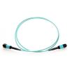 Axiom 30m, MPO - MPO InfiniBand/fibre optic cable 1181.1" (30 m) MPO/MTP Blue1