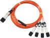 eNet Components CAB-Q-S-3M-ENC InfiniBand/fibre optic cable 118.1" (3 m) QSFP+ 4x SFP+ Gray1